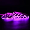 Striscia LED Programmabile COB: Intelligente e RGB Indirizzabile